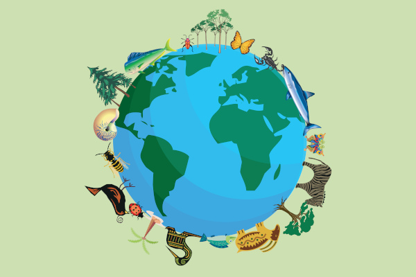 bio
